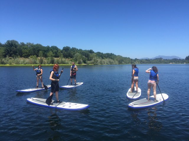 A group paddleboarding on a lake