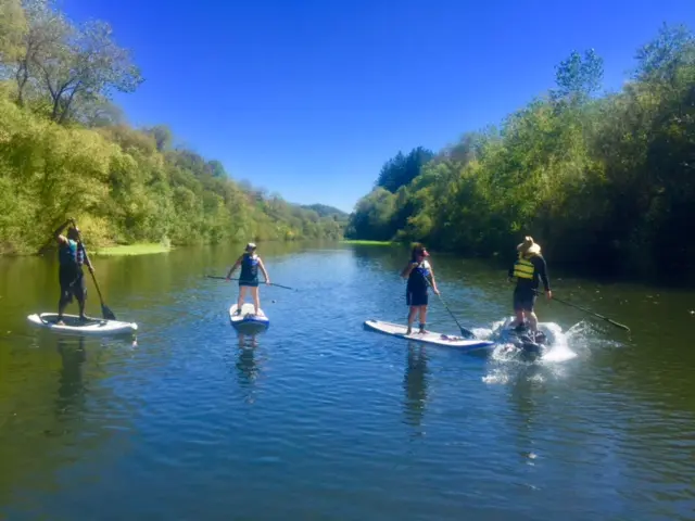 Four people in life vests paddleboarding