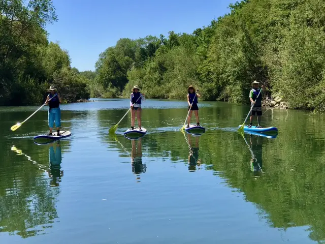 Four people paddleboarding